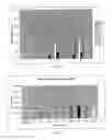 Fig. 07 - HIGHLY PERMEATING TERBINAFINE FORMULATION
