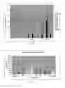Fig. 08 - HIGHLY PERMEATING TERBINAFINE FORMULATION