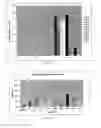 Fig. 09 - HIGHLY PERMEATING TERBINAFINE FORMULATION