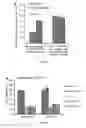 Fig. 07 - Hyaluronidase and a low density second PEG layer on the surface of therapeutic-encapsulated nanoparticles to enhance nanoparticle diffusion and circulation