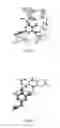Fig. 02 - Hydroxytyrosol and oleuropein compositions for induction of DNA damage, cell death and LSD1 inhibition