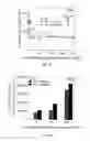 Fig. 06 - Hydroxytyrosol and oleuropein compositions for induction of DNA damage, cell death and LSD1 inhibition