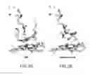 Fig. 03 - Therapeutic compounds and methods
