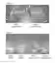 Fig. 02 - INSTANTIZED PRODUCT AND METHODS