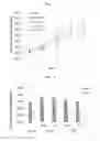Fig. 03 - Metabolism-improving agent comprising rare fatty acid