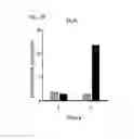 Fig. 09 - ANTI-VIRAL COMPOUNDS