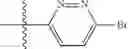 Fig. 293 - QUINUCLIDINE COMPOUNDS AS ALPHA-7 NICOTINIC ACETYLCHOLINE RECEPTOR LIGANDS