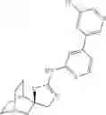 Fig. 962 - QUINUCLIDINE COMPOUNDS AS ALPHA-7 NICOTINIC ACETYLCHOLINE RECEPTOR LIGANDS