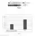 Fig. 02 - Composition and methods used during anti-HIV treatment