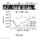 Fig. 09 - Compositions and methods for immunotherapy