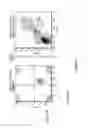 Fig. 06 - Somatic stem cells