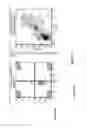 Fig. 07 - Somatic stem cells