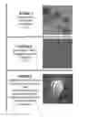 Fig. 01 - METHODS AND COMPOSITIONS FOR TREATING DIABETES WITH IPS DERIVED PANCREATIC BETA-LIKE CELLS
