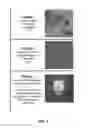 Fig. 02 - METHODS AND COMPOSITIONS FOR TREATING DIABETES WITH IPS DERIVED PANCREATIC BETA-LIKE CELLS