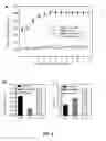 Fig. 06 - METHODS AND COMPOSITIONS FOR TREATING DIABETES WITH IPS DERIVED PANCREATIC BETA-LIKE CELLS