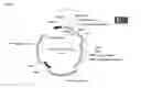 Fig. 02 - TNNT1 mini-promoters