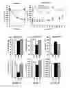 Fig. 09 - Methods for treating metabolic disorders using FGF