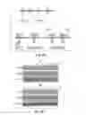 Fig. 09 - METHODS FOR CARDIOPROTECTION AND CARDIOREGENERATION WITH DIMERS OF EGF FAMILY LIGANDS