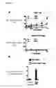 Fig. 06 - Method of inducing senescence in tumor cells by administrating TNF-a in combination with IFNa or IFNy