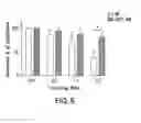 Fig. 06 - Methods of modulating immune responses by modifying Akt3 bioactivity
