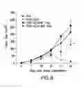 Fig. 07 - Methods of modulating immune responses by modifying Akt3 bioactivity