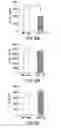 Fig. 09 - Methods of modulating immune responses by modifying Akt3 bioactivity