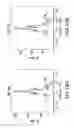 Fig. 14 - Methods of modulating immune responses by modifying Akt3 bioactivity