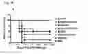 Fig. 07 - COMPOSITIONS, METHODS AND USES FOR EXPRESSION OF ENTEROBACTERIUM-ASSOCIATED PEPTIDES