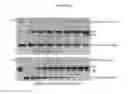 Fig. 04 - Radiosensitizer compounds for use in combination with radiation