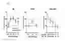 Fig. 02 - Stable cannabinoid formulations