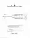 Fig. 136 - GLYCOPEGYLATION METHODS AND PROTEINS/PEPTIDES PRODUCED BY THE METHODS