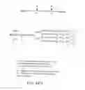 Fig. 197 - GLYCOPEGYLATION METHODS AND PROTEINS/PEPTIDES PRODUCED BY THE METHODS