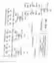 Fig. 22 - GLYCOPEGYLATION METHODS AND PROTEINS/PEPTIDES PRODUCED BY THE METHODS