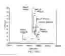Fig. 484 - GLYCOPEGYLATION METHODS AND PROTEINS/PEPTIDES PRODUCED BY THE METHODS