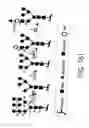 Fig. 486 - GLYCOPEGYLATION METHODS AND PROTEINS/PEPTIDES PRODUCED BY THE METHODS