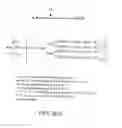 Fig. 65 - GLYCOPEGYLATION METHODS AND PROTEINS/PEPTIDES PRODUCED BY THE METHODS