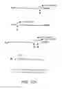 Fig. 79 - GLYCOPEGYLATION METHODS AND PROTEINS/PEPTIDES PRODUCED BY THE METHODS