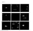 Fig. 09 - Methods of making and using chemically self assembled-nanorings