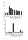 Fig. 20 - Cell penetrating peptide, conjugate comprising same, and composition comprising conjugate
