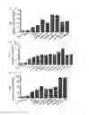 Fig. 24 - Cell penetrating peptide, conjugate comprising same, and composition comprising conjugate