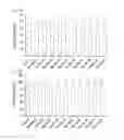Fig. 33 - Cell penetrating peptide, conjugate comprising same, and composition comprising conjugate