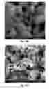 Fig. 09 - THIN LAYER CHROMATOGRAPHY PLATES