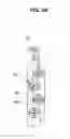 Fig. 10 - FUEL FILTER FOR DIESEL ENGINE