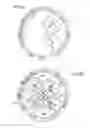 Fig. 09 - Variable capacity multiple-leg packed separation column