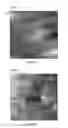 Fig. 03 - Membrane comprising self-assembled block copolymer and process for producing the same by hybrid casting (IIb)