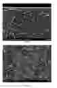 Fig. 08 - Membrane comprising self-assembled block copolymer and process for producing the same by hybrid casting (IIb)