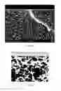 Fig. 07 - Membrane comprising self-assembled block copolymer and process for producing the same by hybrid casting (Ib)