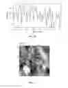 Fig. 04 - Membrane comprising self-assembled block copolymer and process for producing the same by spray coating (IIc)