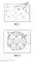 Fig. 02 - Method for activating a chemical reaction, solution that can be activated by said method and device for implementing said method