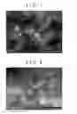 Fig. 06 - Exhaust gas purification catalyst, method of producing the same, and exhaust gas purification method using the same